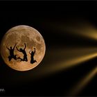 Tanz auf dem Mond ....