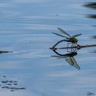 Tanz auf dem Wasser