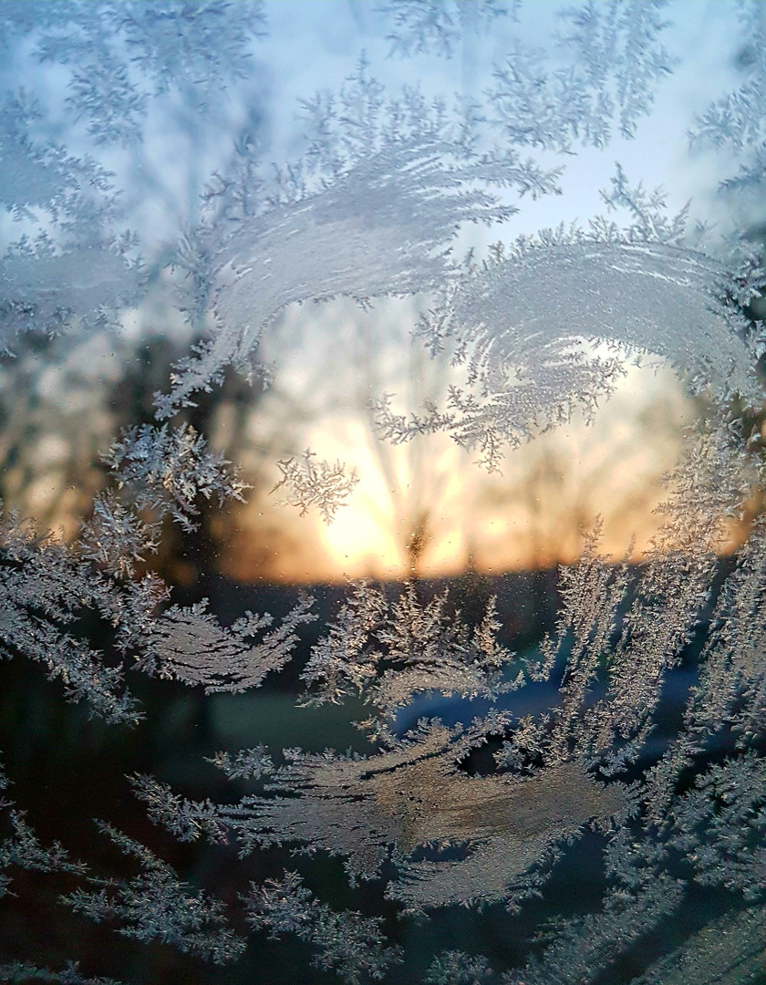 Tanz der Eisblumen