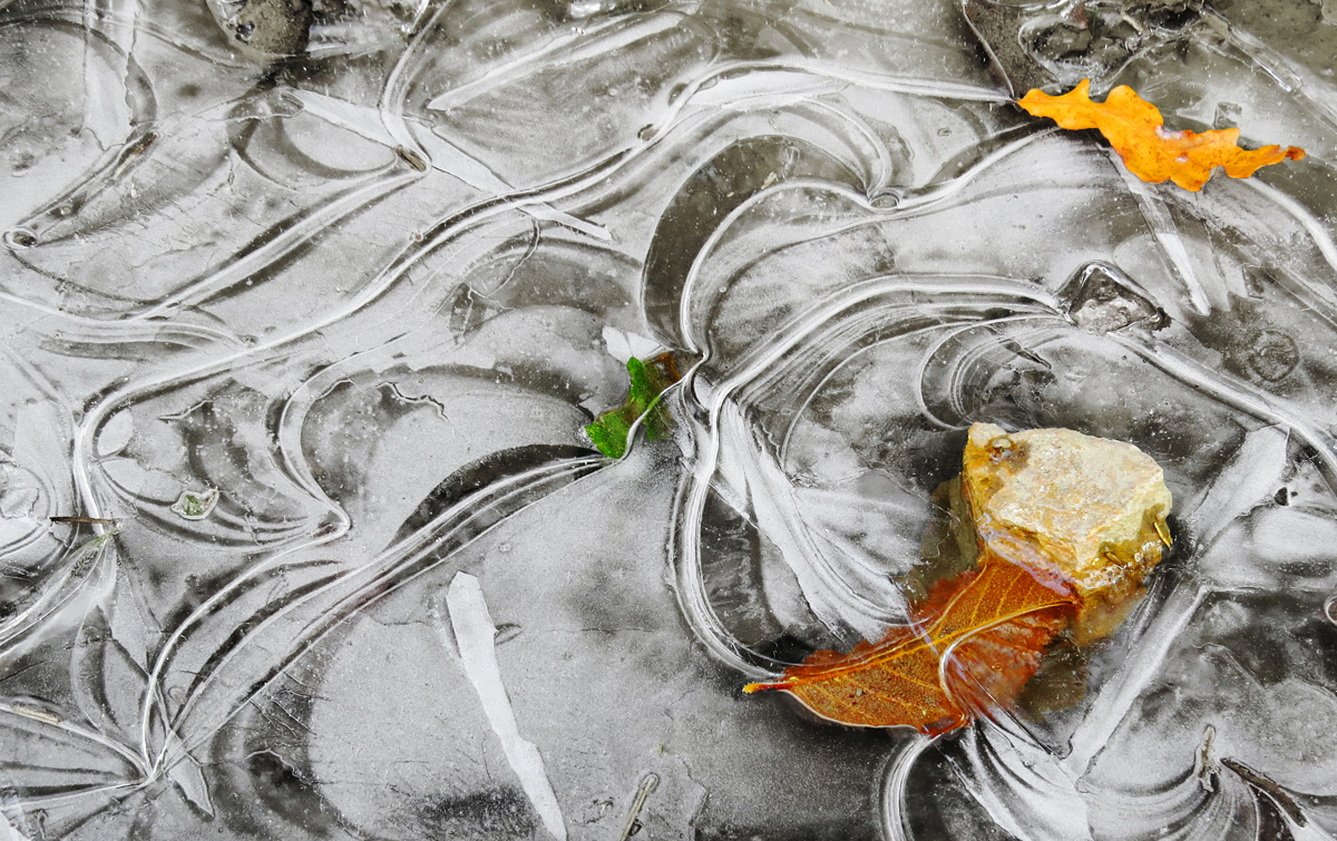 Tanz der Elemente auf der gefrorenen Wasserpfütze ....