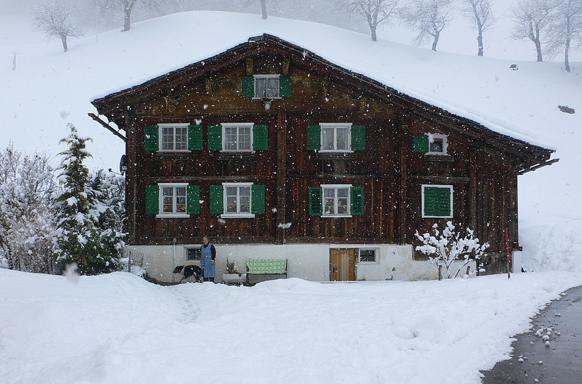 ....Tanz der Schneeflocken....