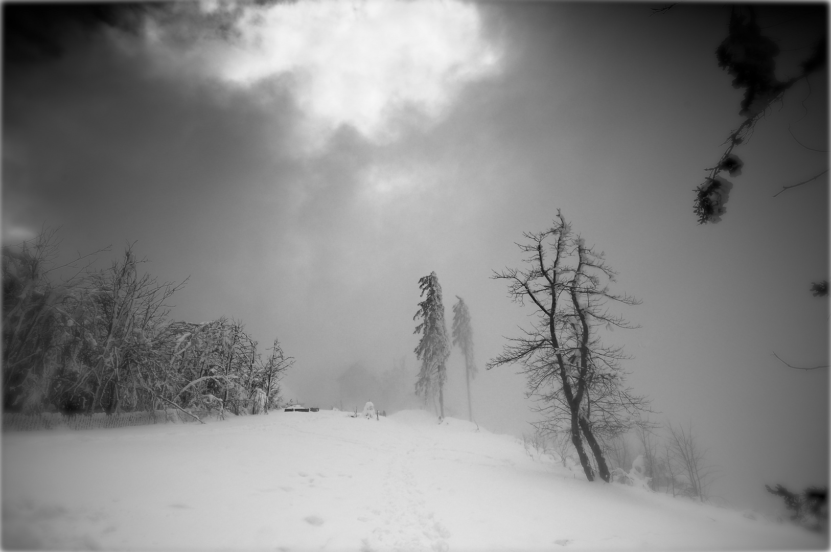 Tanz im Nebel