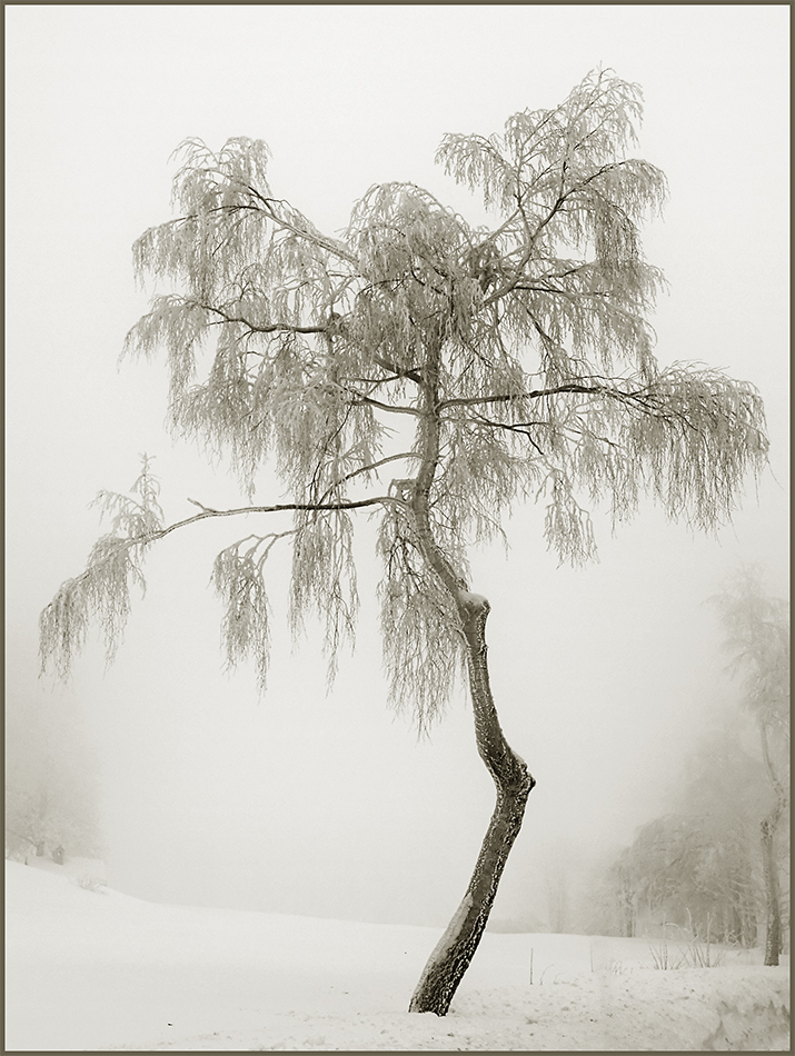 Tanz im Nebel