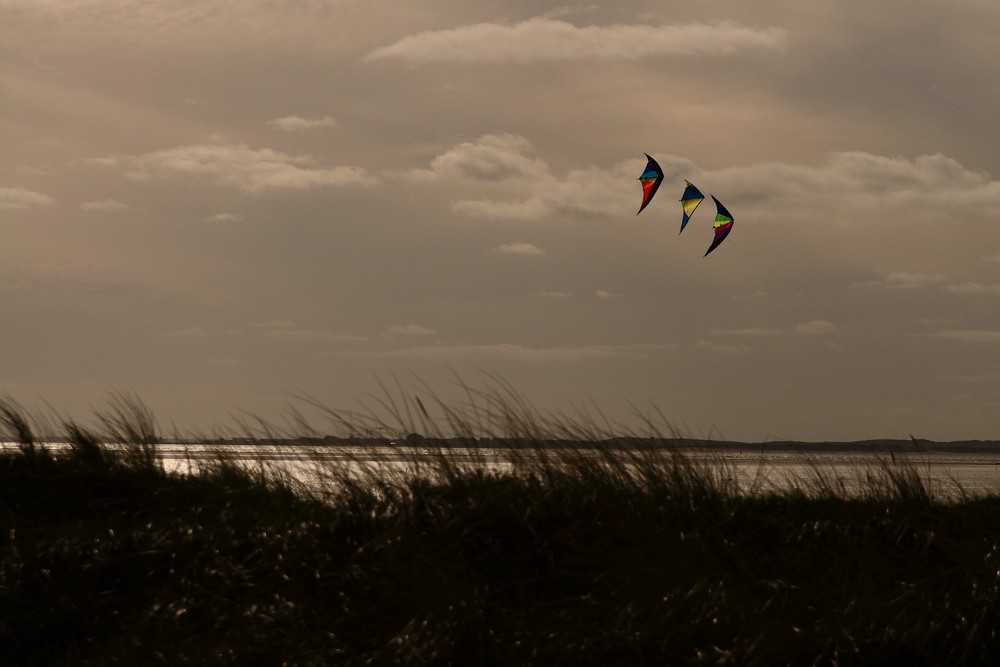 Tanz im Wind