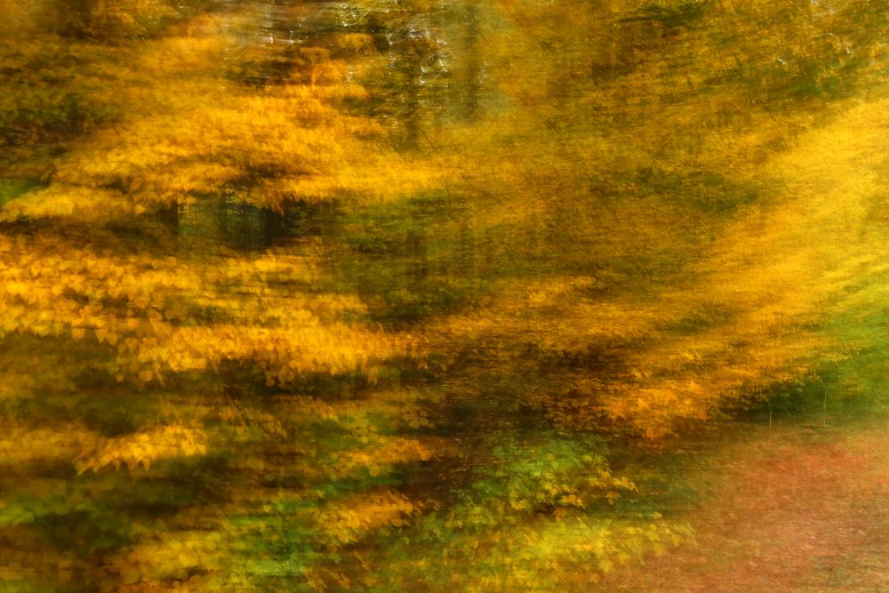 Tanz in den Herbst...