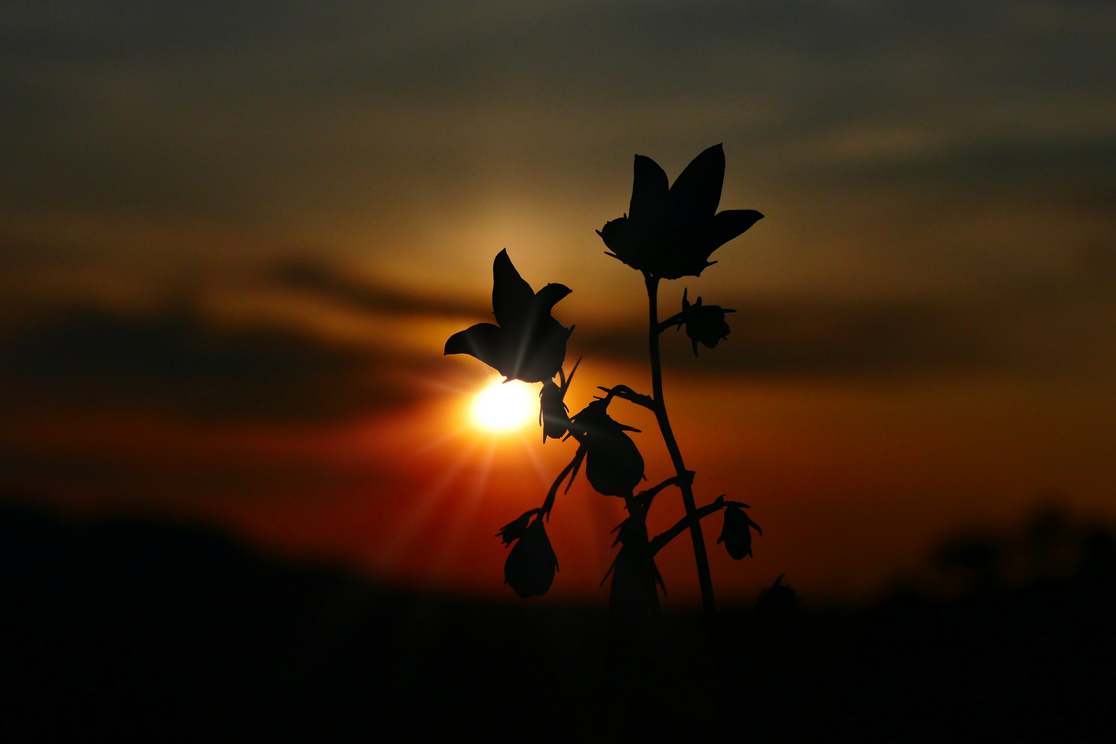 Tanz in den Sonnenuntergang 