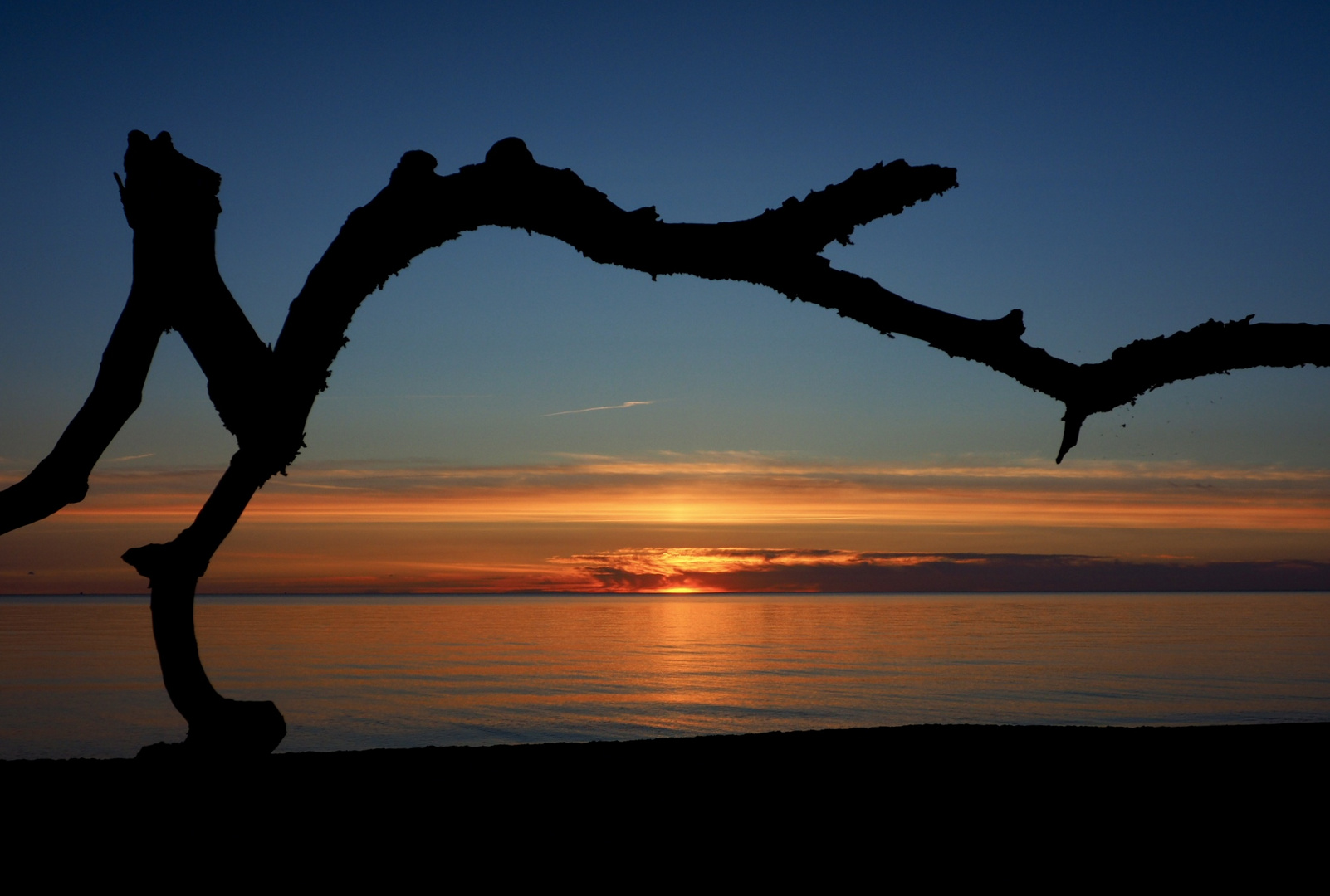 Tanz in die Nacht Foto & Bild | sunset, sonnenuntergang ...