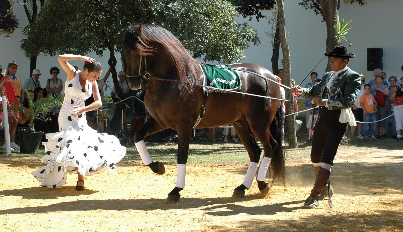 Tanz mit dem Pferd