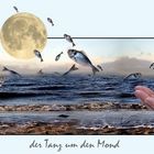 Tanz um den Mond