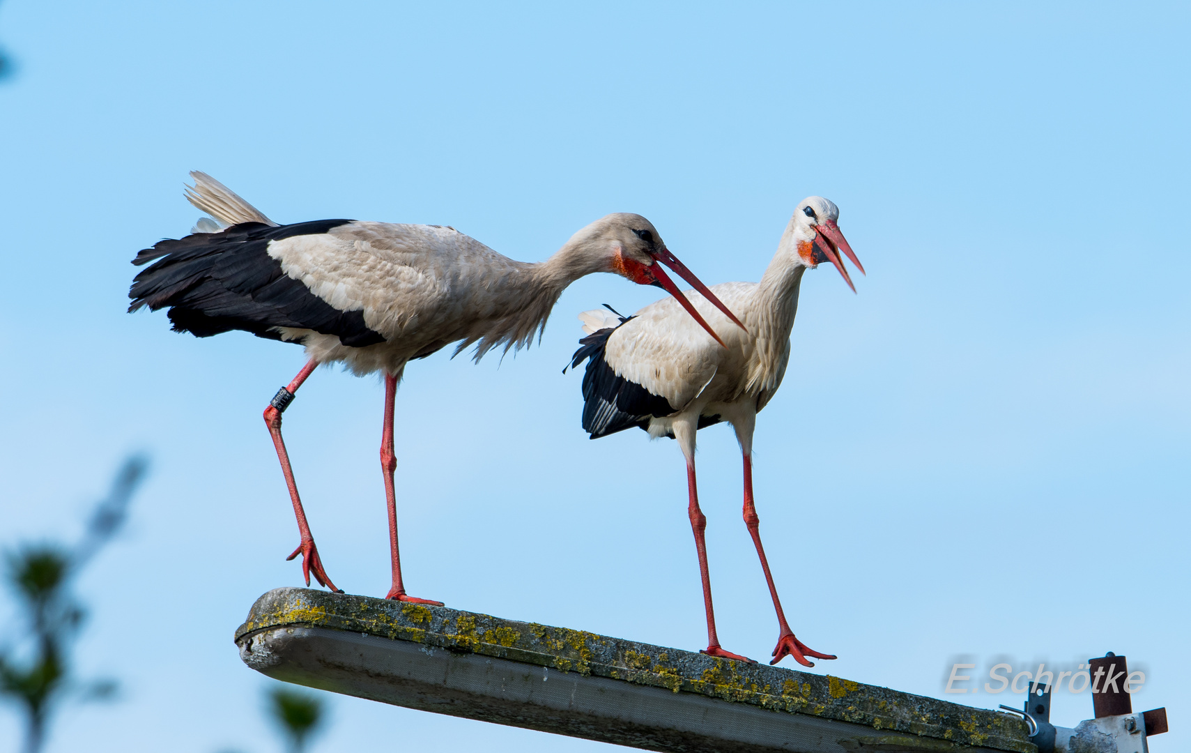 Tanz und Gesang mit Hilde und Horst