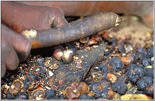 Tanzania 2001 - Korosho - Cashew Nuts - Rösten, Bild 002