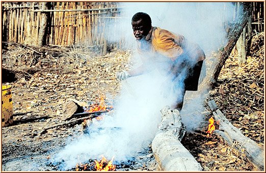 Tanzania 2001 - Korosho - Cashew Nuts - Rösten, Bild 003