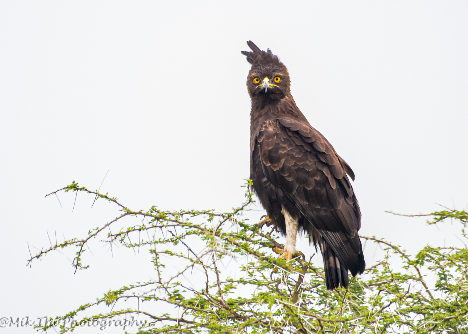 Tanzania