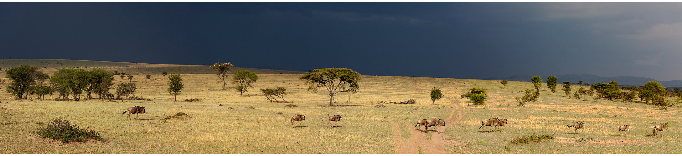 Tanzania - It*s time for Africa Foto & Bild | africa, eastern