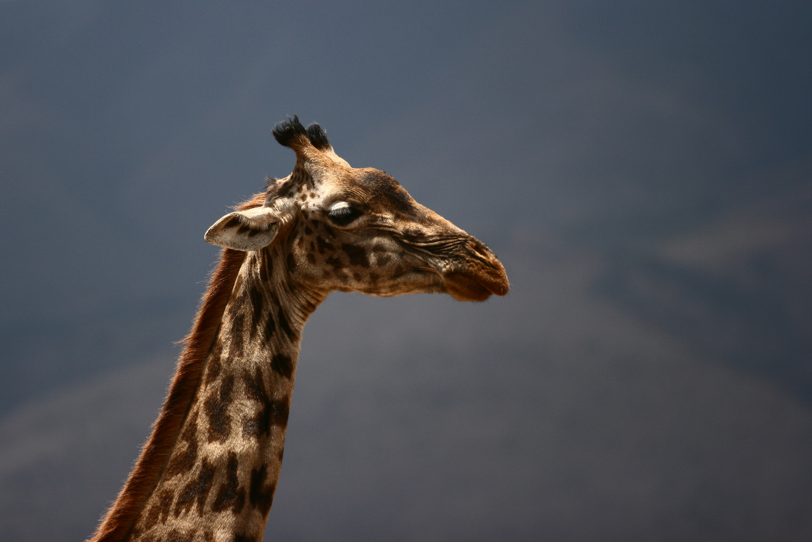 Tanzania, Mayanara lake