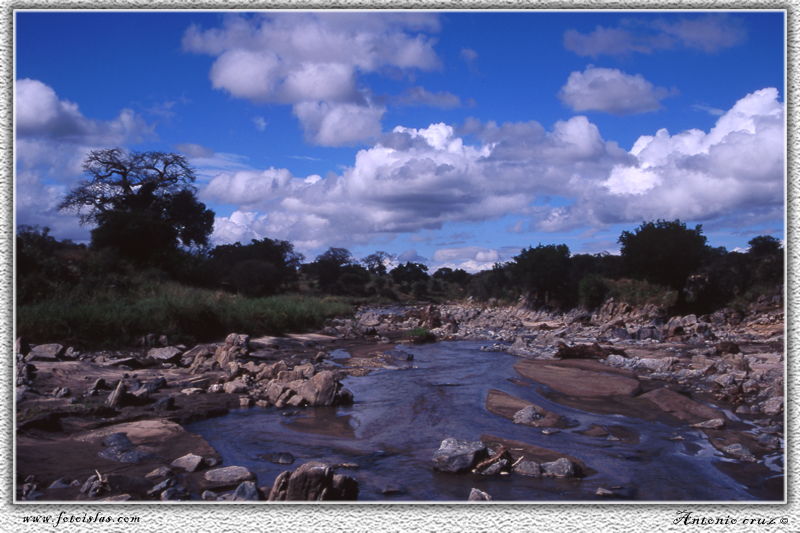 Tanzania (Parque natural Taranguire)