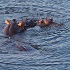 TANZANIA Ruaha NP 17