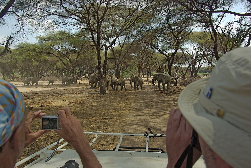 TANZANIA Ruaha NP 2