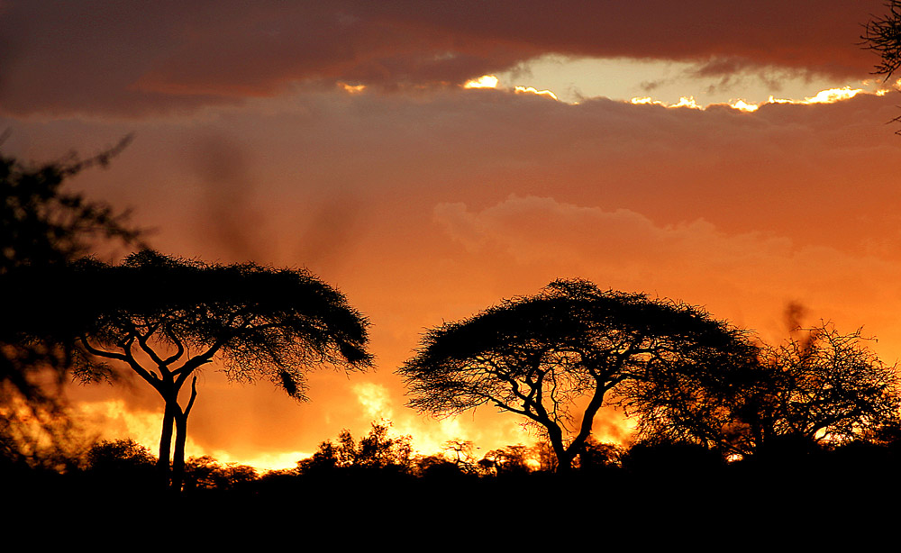 Tanzania - Serengeti