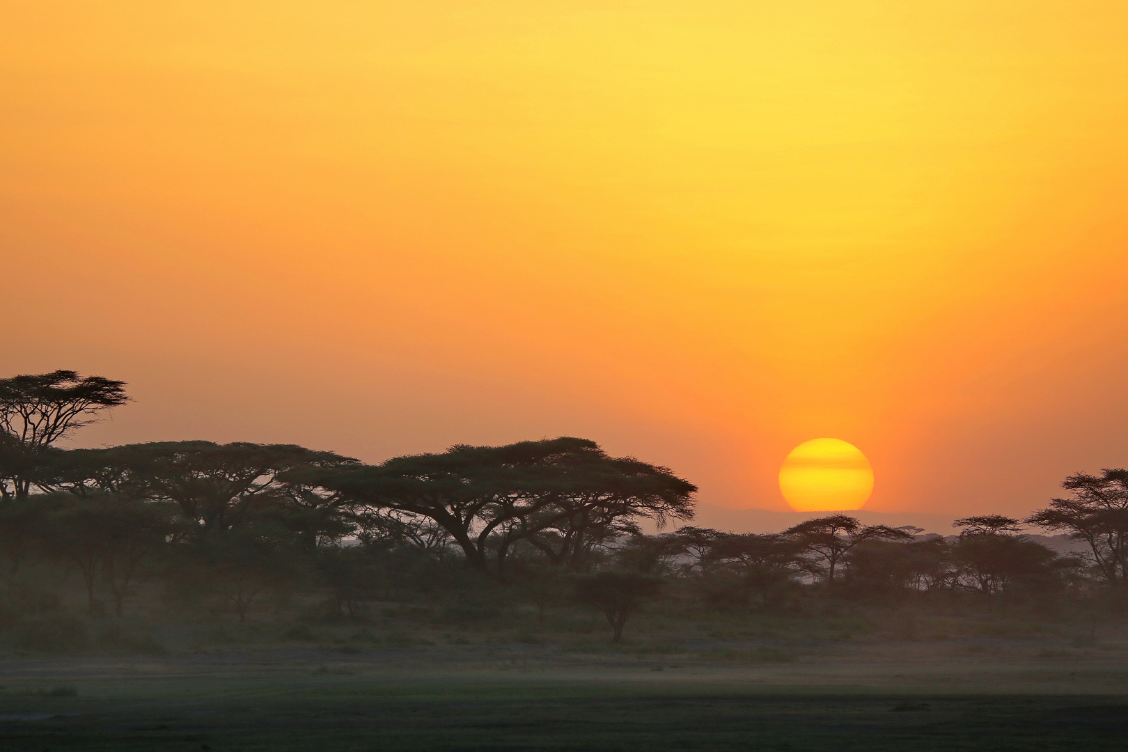 Tanzanian Sunrise