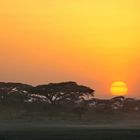 Tanzanian Sunrise