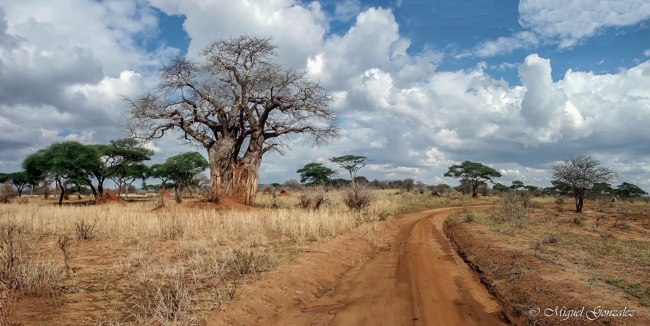 Tanzanie