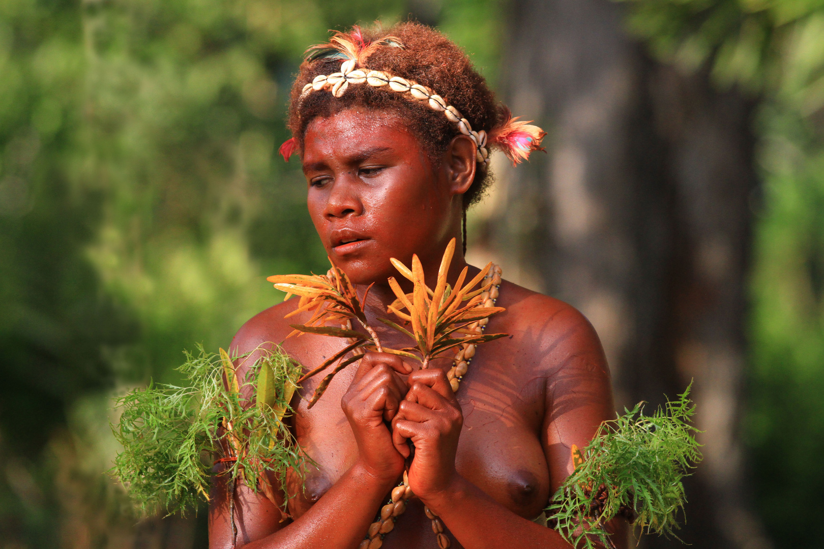 Tanzdarstellung, Madang, Papua  Neuguinea