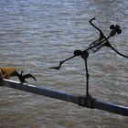 Tanzen am Rhein