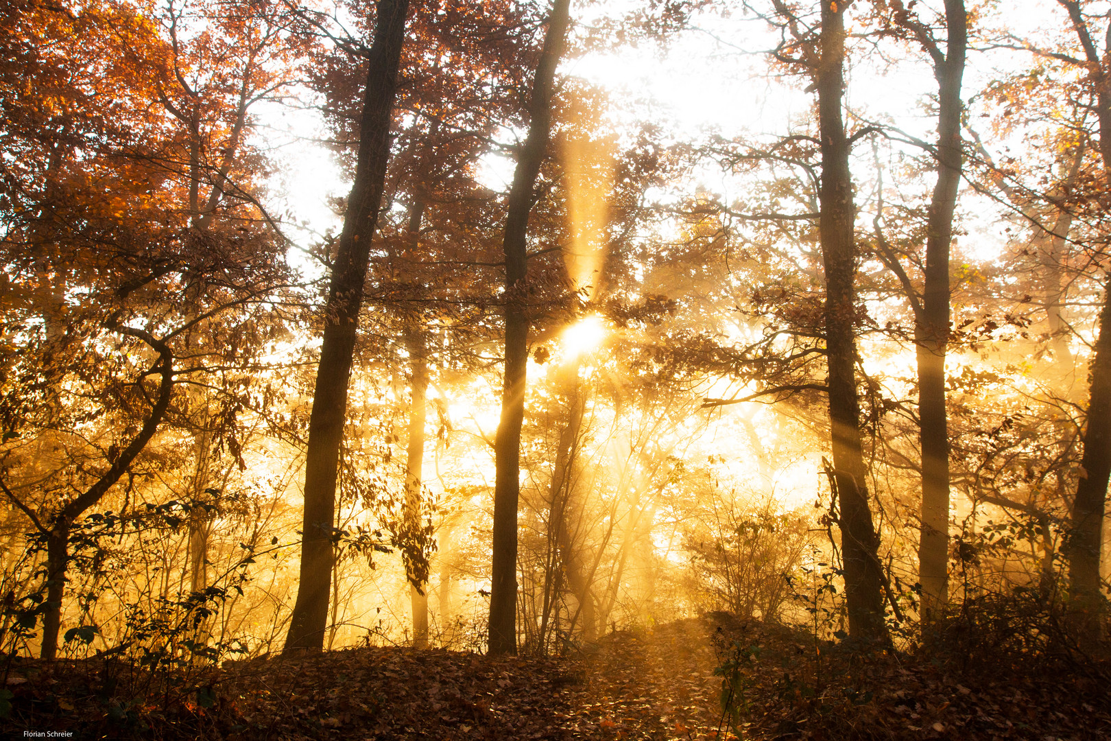 Tanzen zwischen Licht und Farben 