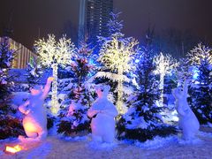 Tanzende Eisbären bei Nacht