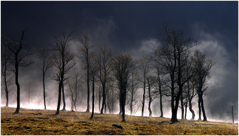 Tanzende Nebel im großen Ahornboden II