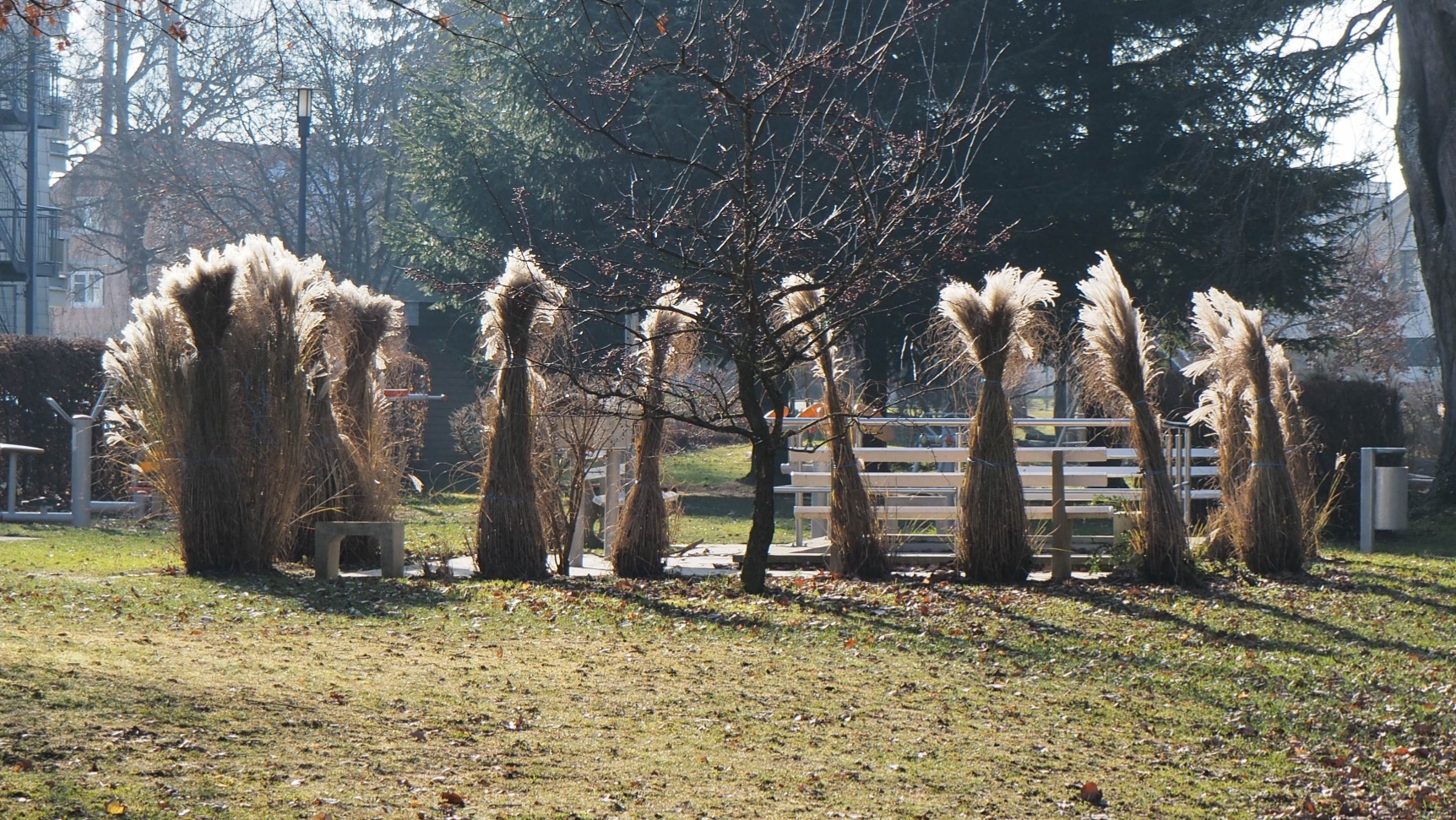 Tanzende Strohpuppen Foto & Bild natur, landschaft, garten