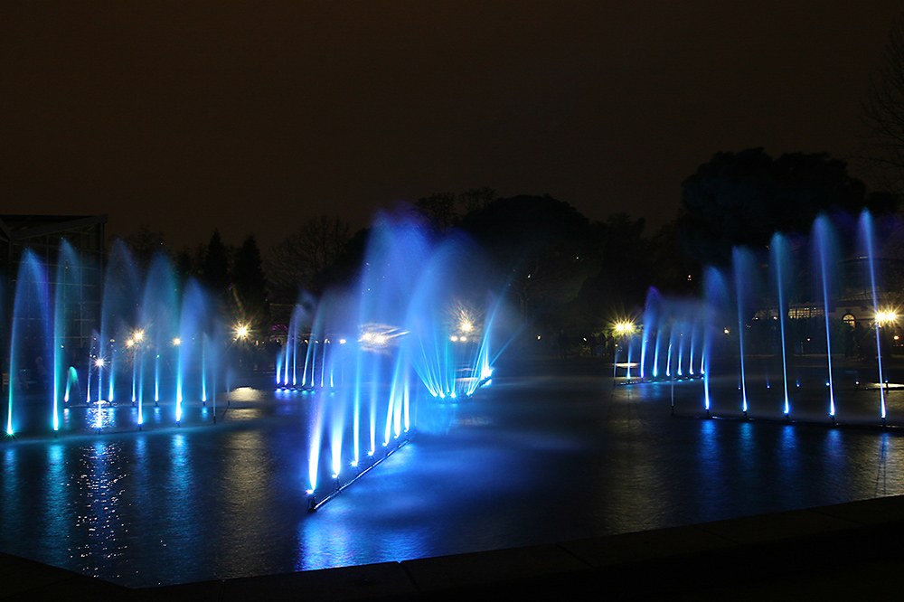 'Tanzende Wasser', Luminale 2012, Palmengarten Frankfurt