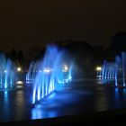 'Tanzende Wasser', Luminale 2012, Palmengarten Frankfurt