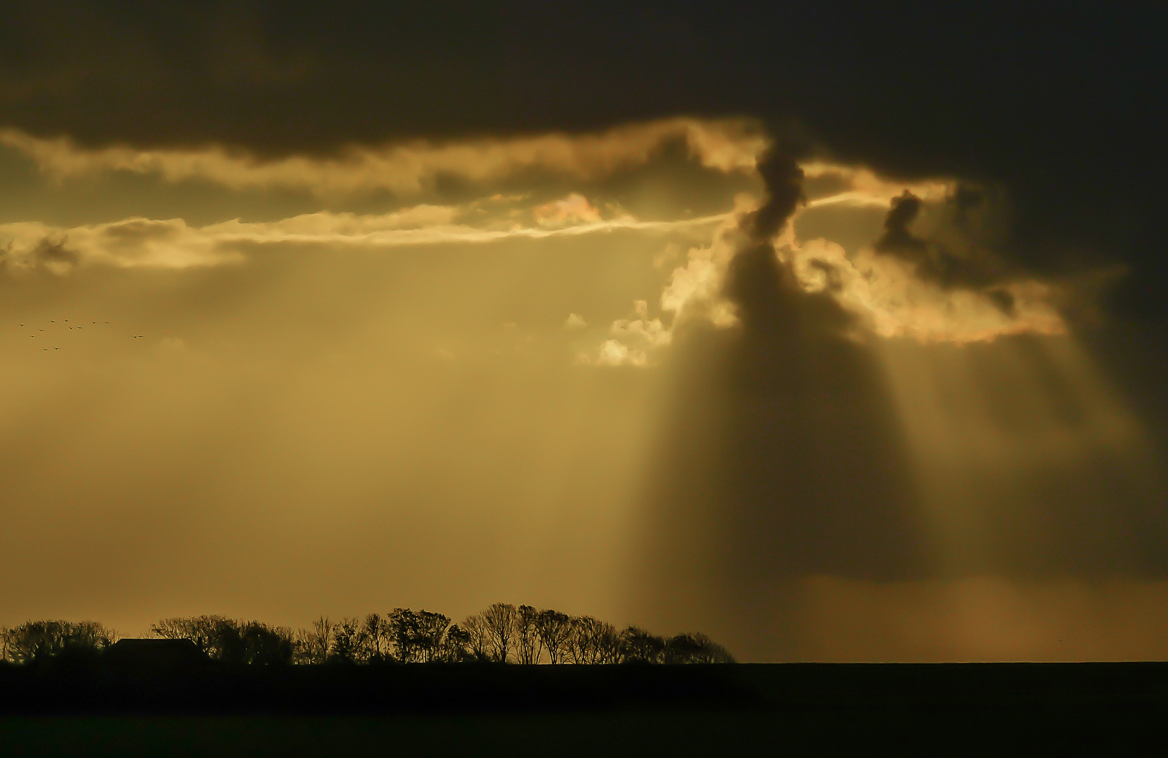 Tanzende Wolken