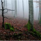 Tanzender Baum im Nebelwald