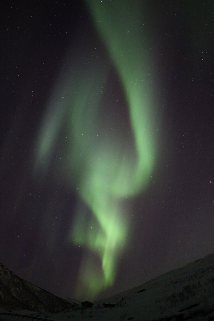 Tanzendes Nordlicht