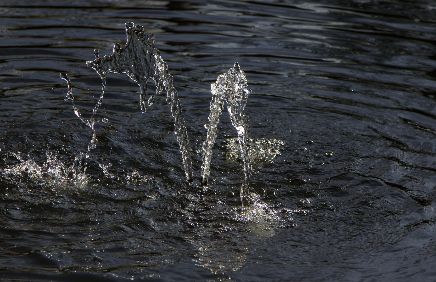 Tanzendes Wasser