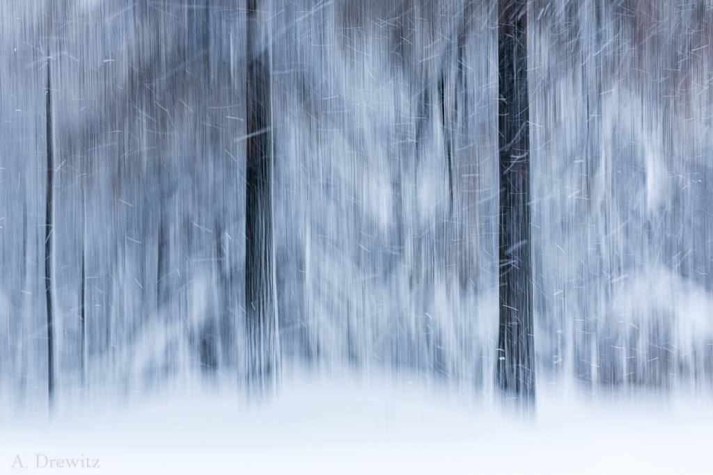 Tanzsaal für Schneeflocken