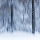 Tanzsaal für Schneeflocken