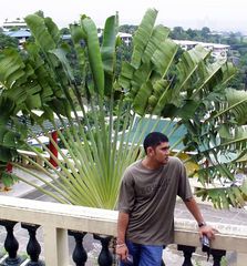 Taoist Temple, Cebu, 030930 (7)