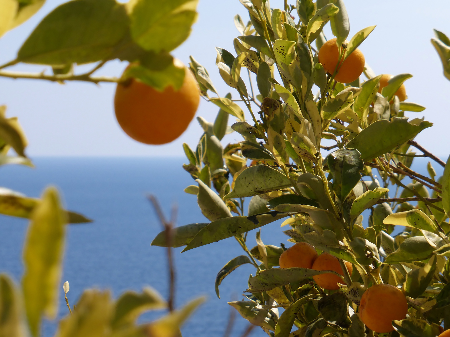 Taormina / Sizilien im März