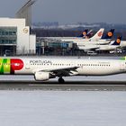 TAP Air Portugal Airbus A321 - Munich Airport am 09.02.2013