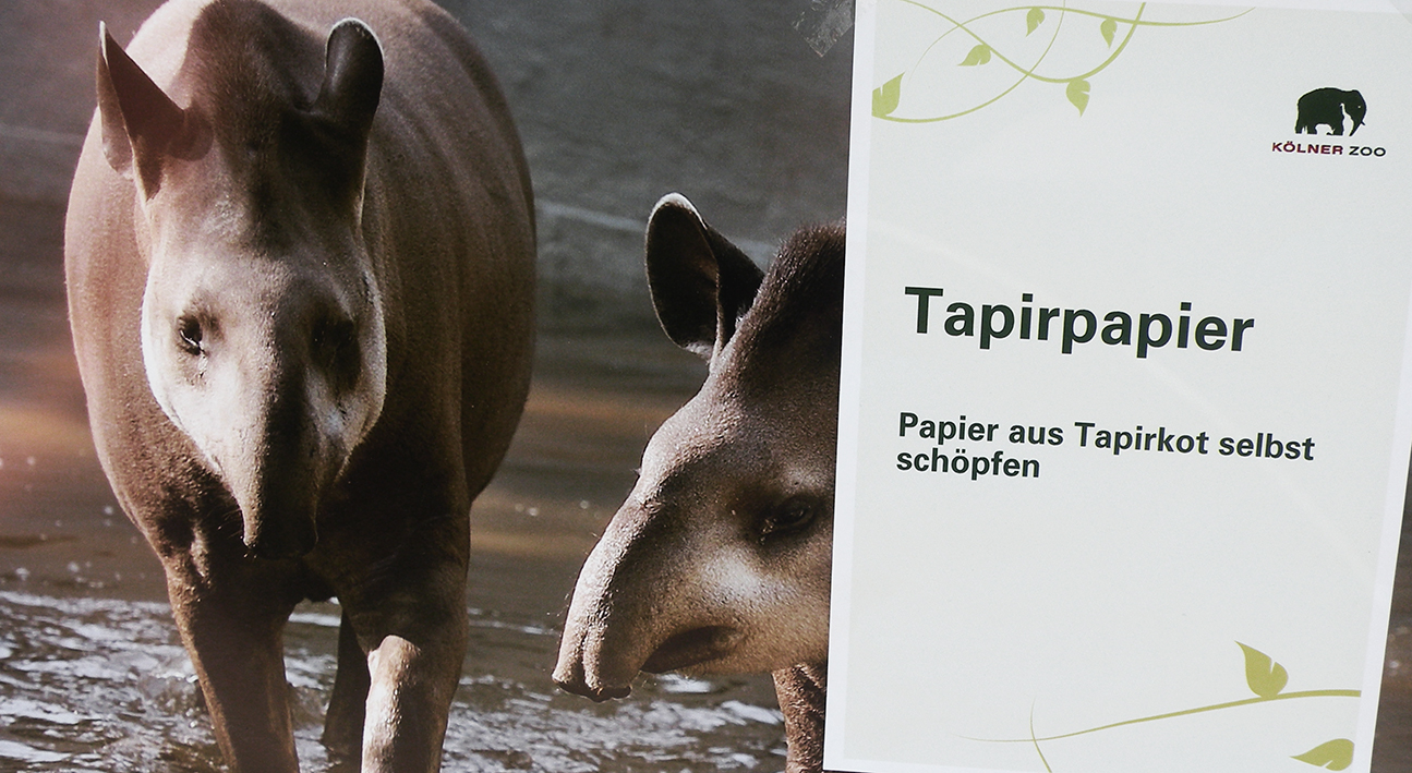 Tapir-Papier