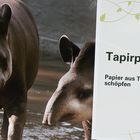 Tapir-Papier