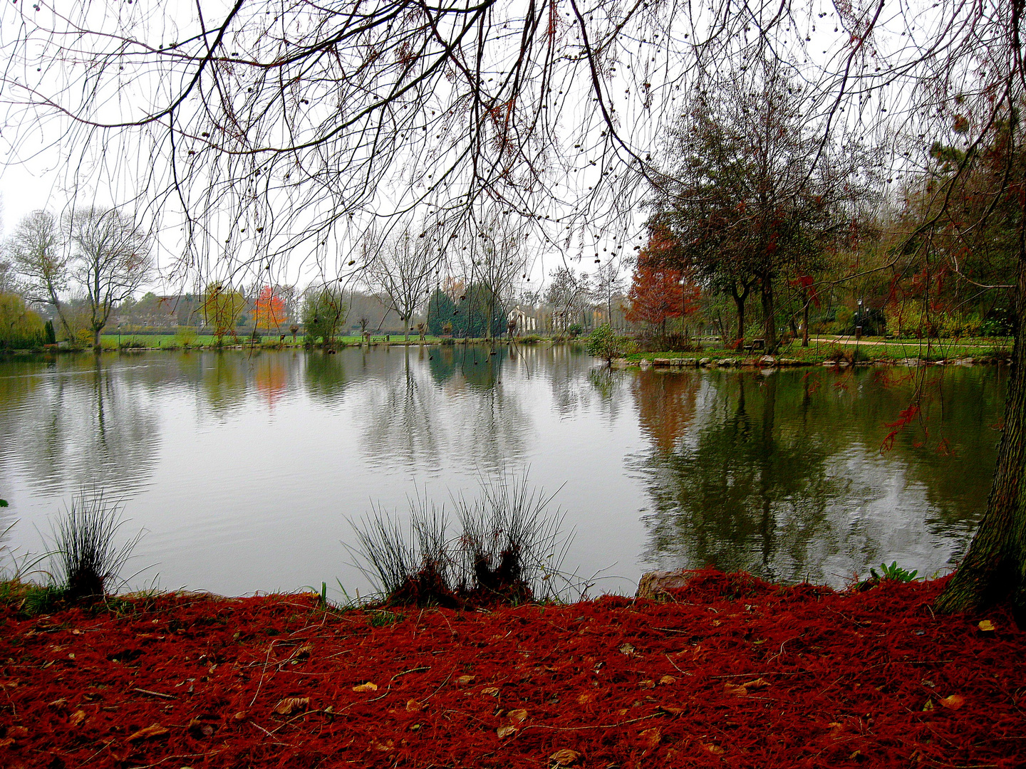 Tapis d'automne 