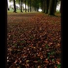 tapis de feuilles