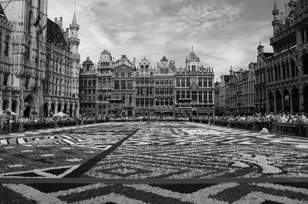 Tapis de fleurs à la Grand Place de Bruxelles