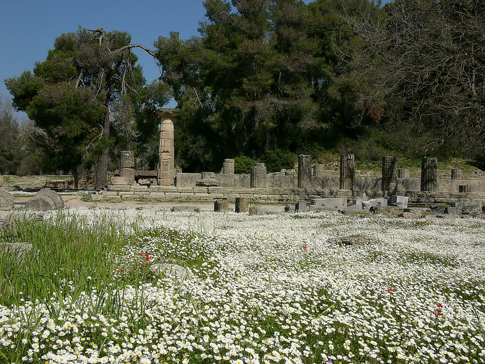 Tapis de Fleurs à Olympie