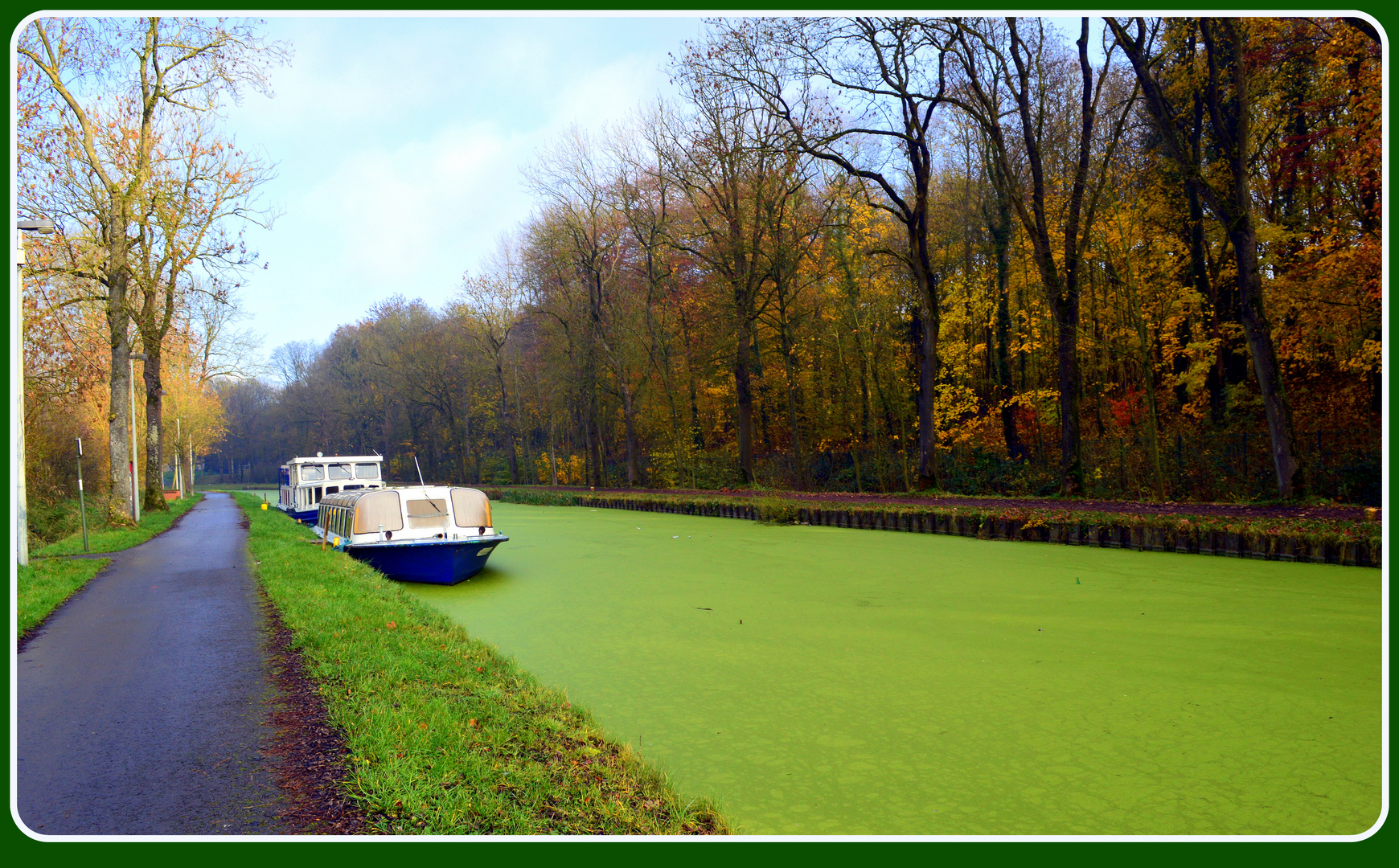 tapis vert